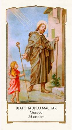 Beato Taddeo Machar (Tadhg MacCarthy)
