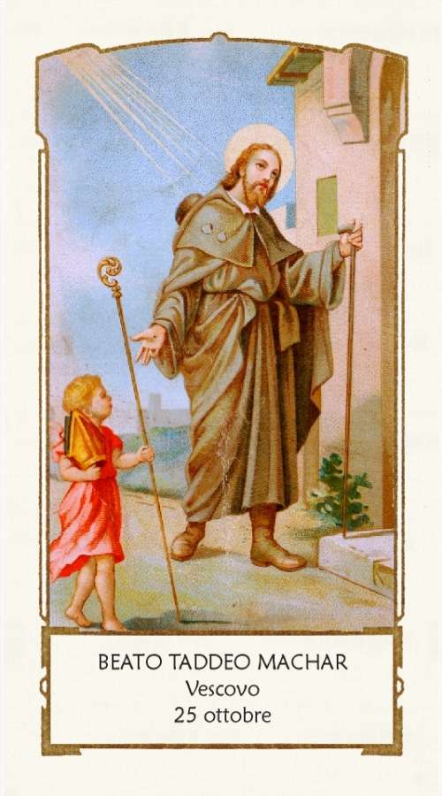 Beato Taddeo Machar (Tadhg MacCarthy)